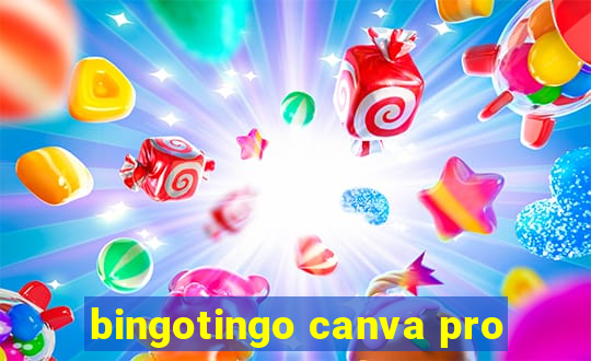 bingotingo canva pro